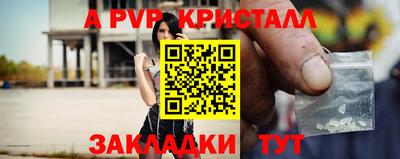 бошки Тверь