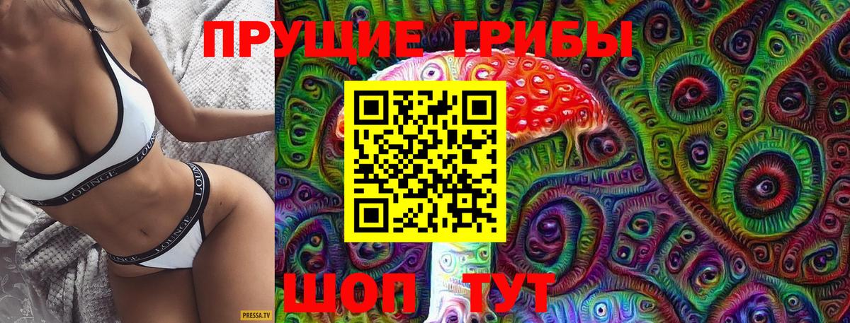 Галлюциногенные грибы Psilocybe  Псилоцибиновые грибы мицелий  Вход с VPN  Нижний Тагил 